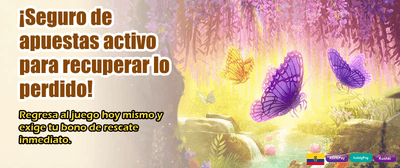 Bonos exclusivos para Ecuador